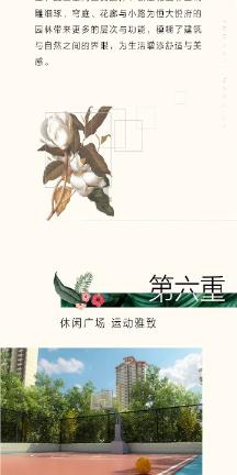 猫头鹰男孩